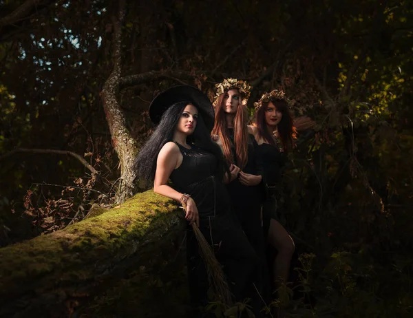 Belles Jeunes Sorcières Halloween Vêtues Une Robe Gothique Vintage Forêt — Photo