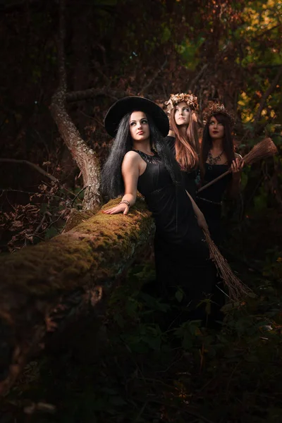 Piękne Młode Halloween Witches Noszenia Vintage Sukienka Gotycka Ciemnym Lesie — Zdjęcie stockowe