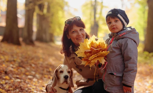 Giovane Nonna Felice Con Nipote Cane Donna Mezza Età Con — Foto Stock