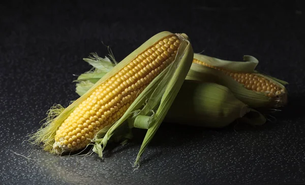 Fresh Sweet Corn Cobs Iron Table Healthy Organic Food — Stock Photo, Image