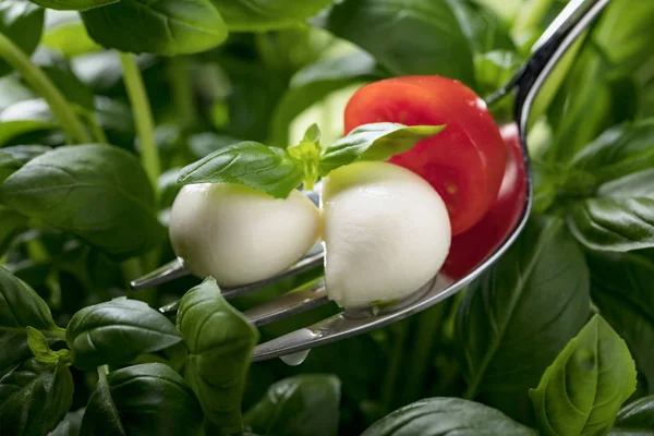モッツアレラ チーズ ボール チェリー トマト バジルの緑 伝統的なイタリア料理 — ストック写真