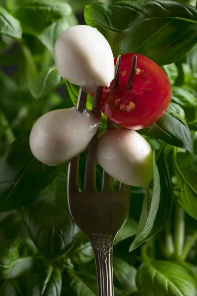 Mini Mozzarella Peynir Topları Domates Yeşil Fesleğen Geleneksel Talyan Mutfağı — Stok fotoğraf