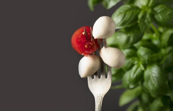 Mini Mozzarella Pomodorini Basilico Verde Cucina Tradizionale Italiana Copia Spazio — Foto Stock