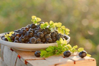  Olgun ve sulu taze yaban mersini closeup aldı. Beyaz tabakta yapraklarla yaban mersini.