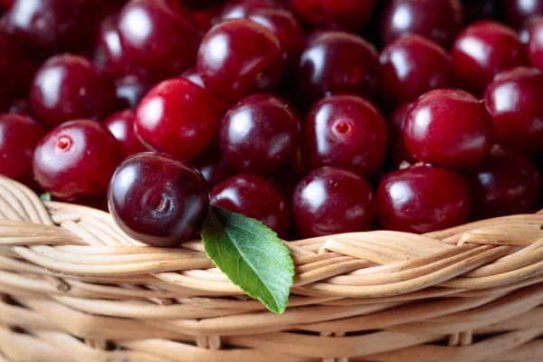 Ripe Juicy Cherries Basket Selective Focus — Stock Photo, Image