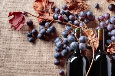 Kırmızı şarap şişeleri ve taze üzüm asma yaprağı çuval bezi, üstten görünüm üzerinde kurumuş kopyalayın, metin için yer. 