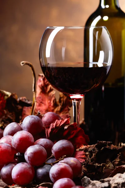 Glass and bottle of red wine on a table with grapes and dried up vine leaves .