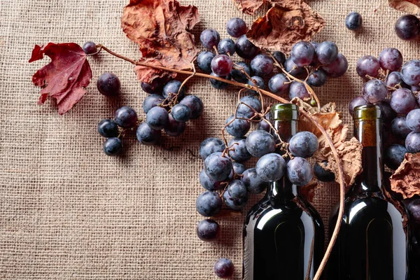 红葡萄酒瓶和新鲜葡萄与干燥藤蔓叶子在粗麻布 顶部视图 复制空间为您的文本 — 图库照片