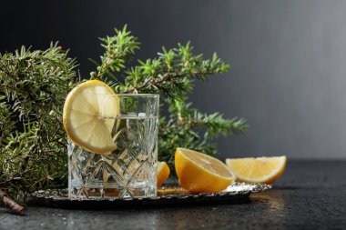 Kokteyl cin, limon dilimleri ile tonik ve ardıç bir delikanlı. Metniniz için kopya alanı.