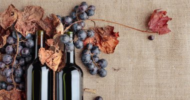 Kırmızı şarap şişeleri ve taze üzüm asma yaprağı çuval bezi, üstten görünüm üzerinde kurumuş kopyalayın, metin için yer. 