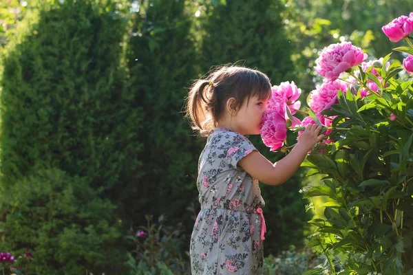 Retrato Una Niña Tres Años Jugando Aire Libre Jardín —  Fotos de Stock