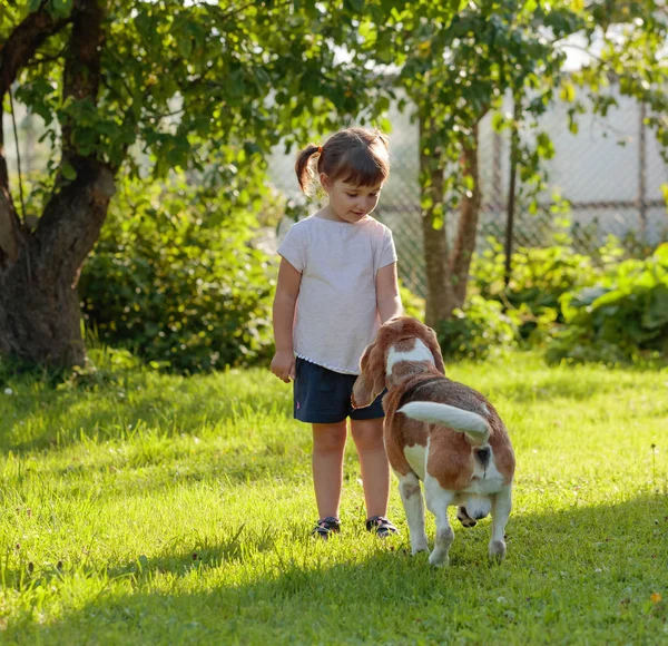 Niña Europea Con Perro Soleado Día Verano Jardín —  Fotos de Stock