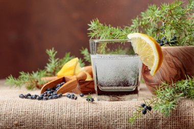 Kokteyl cin, limonlu tonik ve ardıç meyveleri ile bir dalı. Metniniz için kopya alanı.
