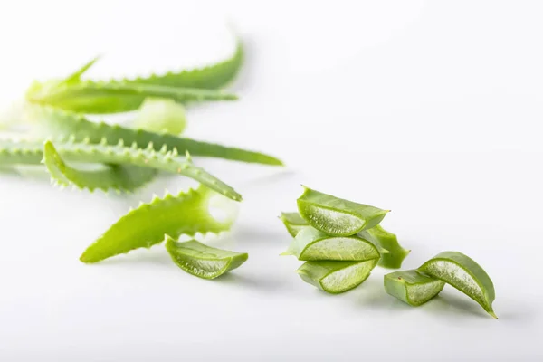 Aloe Vera Blätter Auf Weißem Hintergrund Schneiden Aloe Vera Wird — Stockfoto