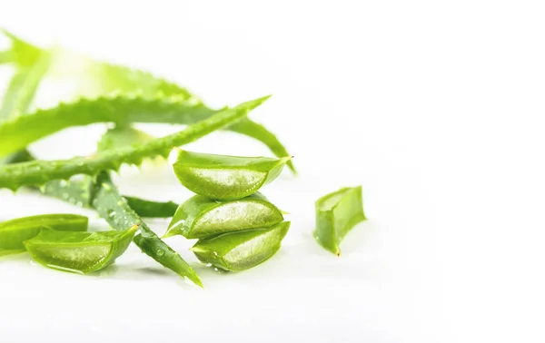 Hojas Húmedas Aloe Vera Sobre Fondo Blanco Aloe Vera Utiliza — Foto de Stock