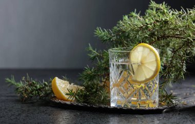 Kokteyl cin, limon dilimleri ile tonik ve ardıç bir delikanlı. Metniniz için kopya alanı.