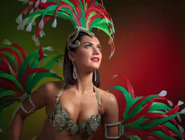 Beautiful Brunette Carnival Costume Rhinestones Natural Feathers Beautiful Professional Makeup — Stock Photo, Image
