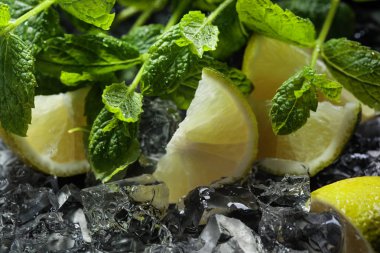 Koyu arkaplanda buz ve nane dilimleri. Seçici odak .