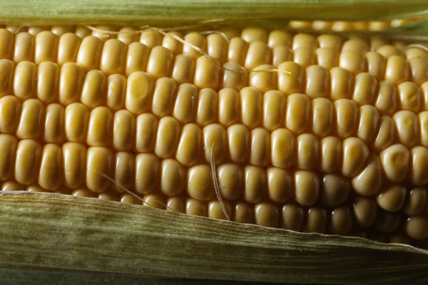 Friss Csemege Kukorica Csövek Egészséges Bioélelmiszer — Stock Fotó