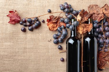 Kırmızı şarap şişeleri ve taze üzüm asma yaprağı çuval bezi, üstten görünüm üzerinde kurumuş kopyalayın, metin için yer. 