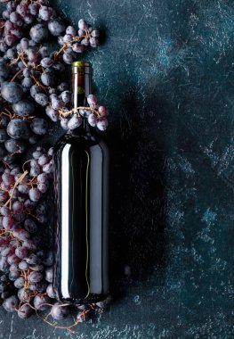Metniniz için kırmızı şarap ve üzüm, üstten görünüm, kopya alanı şişe.