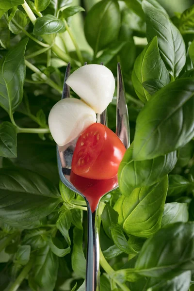 Mini Mozzarella Pomodori Basilico Verde Cucina Tradizionale Italiana — Foto Stock