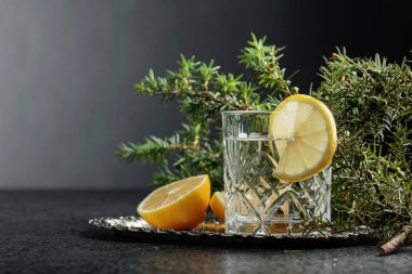 Kokteyl cin, limon dilimleri ile tonik ve ardıç bir delikanlı. Metniniz için kopya alanı.
