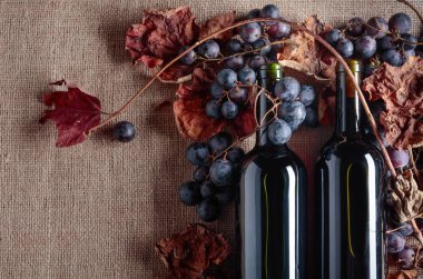 Kırmızı şarap şişeleri ve üzüm asma yaprağı çuval bezi, üstten görünüm üzerinde kurumuş kopyalayın, metin için yer. 
