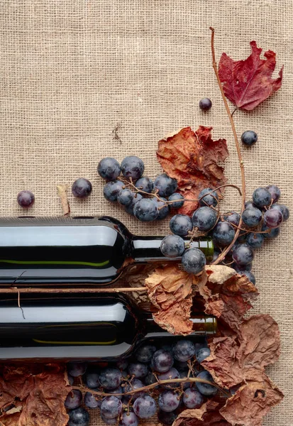 Röda vinflaskor och druvor med torkat upp vinblad. — Stockfoto