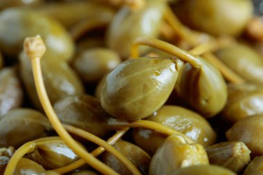 Turşu Kapari Karpuzu .