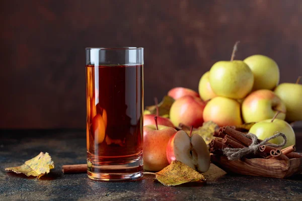 Copo de suco de maçã ou cidra com maçãs suculentas e canela sti — Fotografia de Stock