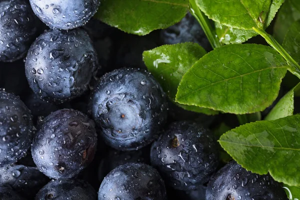 Fresh picked blueberries with water drops. — Stock Photo, Image