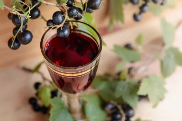 Likör aus schwarzen Johannisbeeren und frischen Beeren. — Stockfoto