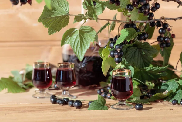 Likör aus schwarzen Johannisbeeren und frischen Beeren. — Stockfoto