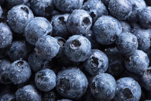 Ripe and juicy fresh picked blueberries closeup. — Stock Photo, Image