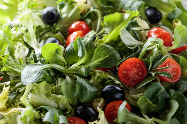 Groene salade met tomaten en zwarte olijven. — Stockfoto