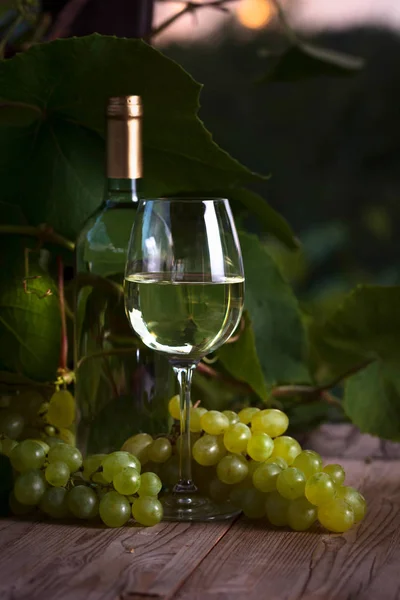 White wine in vineyard. — Stock Photo, Image