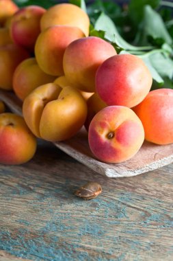 eski ahşap masa yapraklarda ile kayısı .