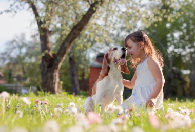 mutlu küçük kız bahçede köpekle oynayan.
