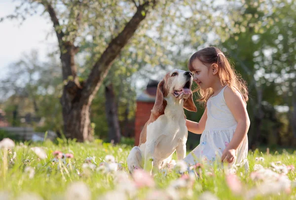 Niña feliz jugando con el perro en el jardín . —  Fotos de Stock