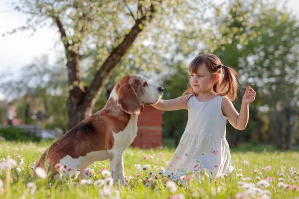 Niña feliz jugando con el perro en el jardín . —  Fotos de Stock