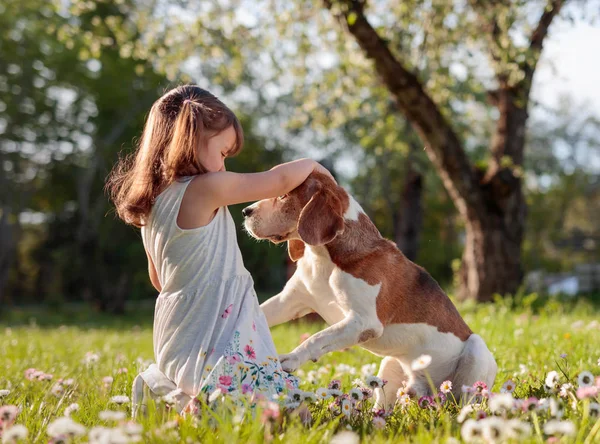 Glückliches kleines Mädchen spielt mit Hund im Garten. — Stockfoto