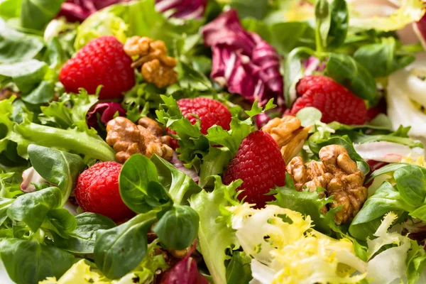 Groene salade met frambozen en walnoten. — Stockfoto