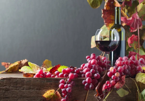 Şişe ve kırmızı şarap ve üzüm bir ol üzerinde asma yaprakları ile bir bardak — Stok fotoğraf