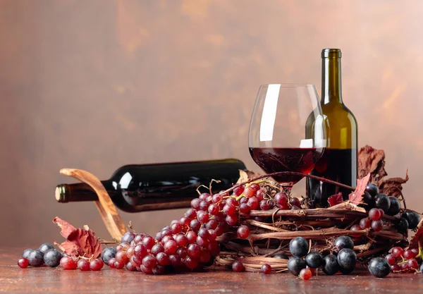 Flessen en glas rode wijn en druiven met opgedroogde wijnstok Lea — Stockfoto