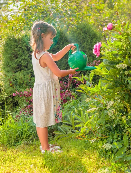 Petite fille arrosant des fleurs dans le jardin. — Photo