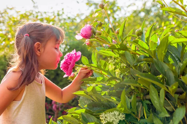 Menina feliz cheirando peônias rosa perfumadas . — Fotografia de Stock