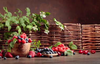 Çilek renkli çeşitli Mix, yaban mersini, 