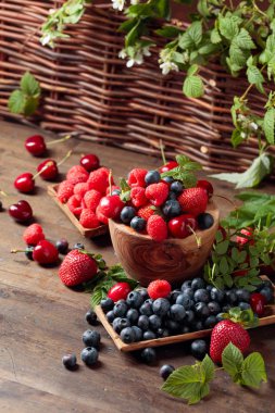 Çilek renkli çeşitli Mix, yaban mersini, 