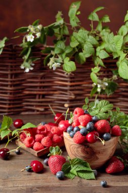 Çilek renkli çeşitli Mix, yaban mersini, 